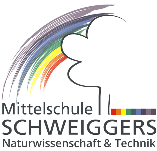 Logo Mittelschuele Schweiggers - Naturwissenschaft & Technik